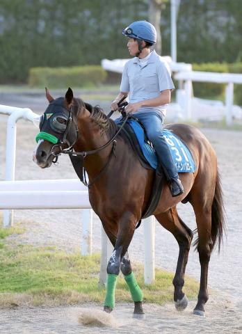 【中京記念】重賞2勝エルトンバローズ、9か月ぶり復帰戦　杉山晴調教師「思い切って休ませたことが、いい方に出そうです」