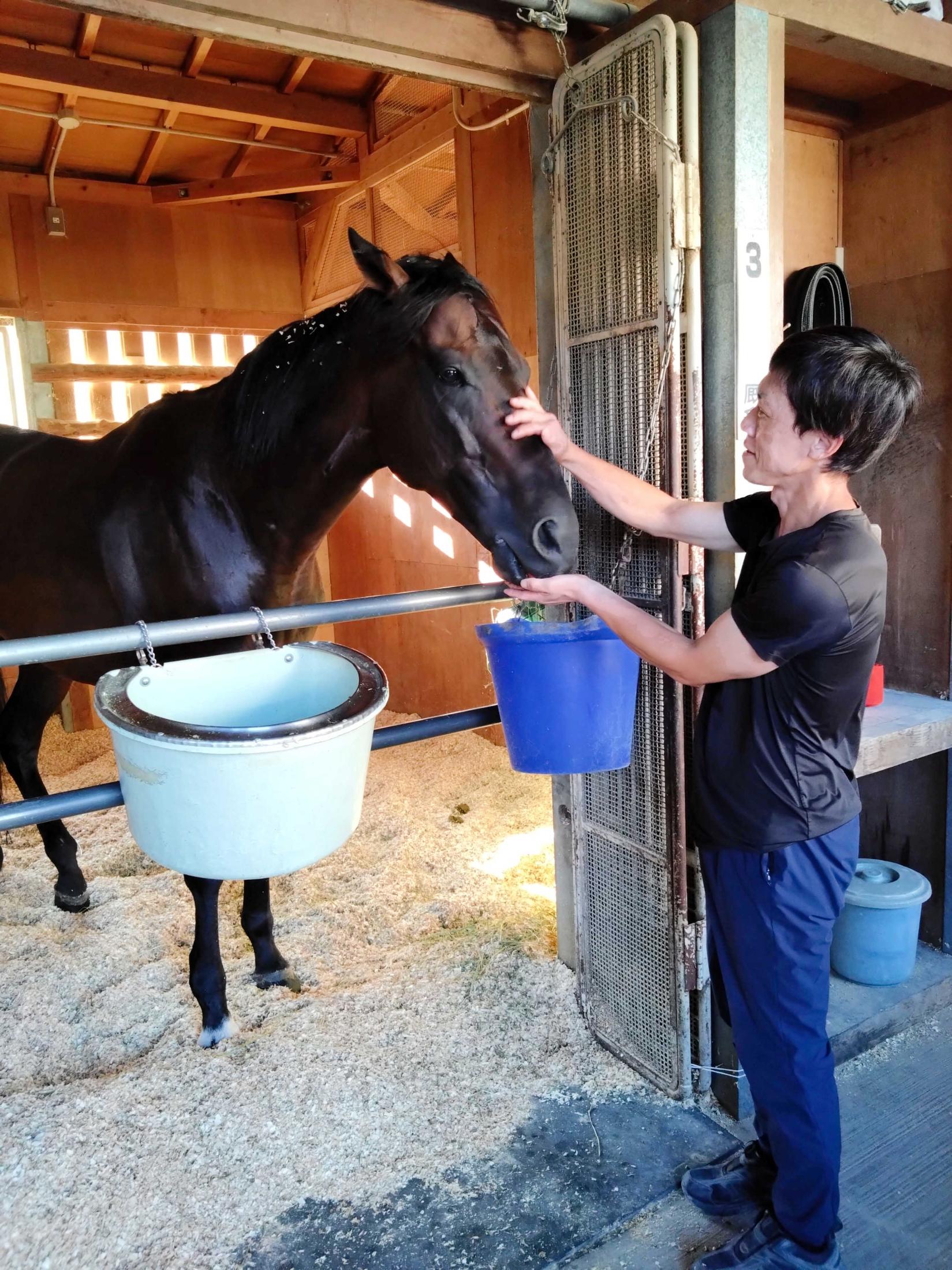 【札幌記念】佐々木剛助手の感謝尽きない特別な馬とは　思いを胸に子・ケイアイセナと北都でミラクル起こす