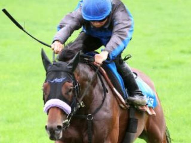 【札幌記念】2日連続で重賞制覇の佐々木大輔騎手、今週はヴェローチェエラでサマー2000王者に“当確ランプ”ともす