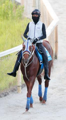 【中京記念】重賞2勝目を狙うウォーターリヒト　石橋調教師「スローになった時にどう対応するか」