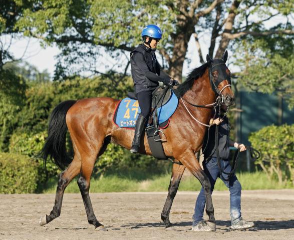 【新潟ジャンプS】平地・障害のW重賞制覇を狙うヒートオンビート　石神深一騎手「平地の脚は一番ある」