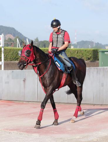 【中京記念】坂井瑠星騎手との新コンビで重賞初V狙うエコロヴァルツ　牧浦調教師「やれる力はあると思っている」