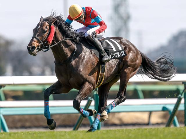 【新潟JS予想オッズ】インプレスが予想1番人気
