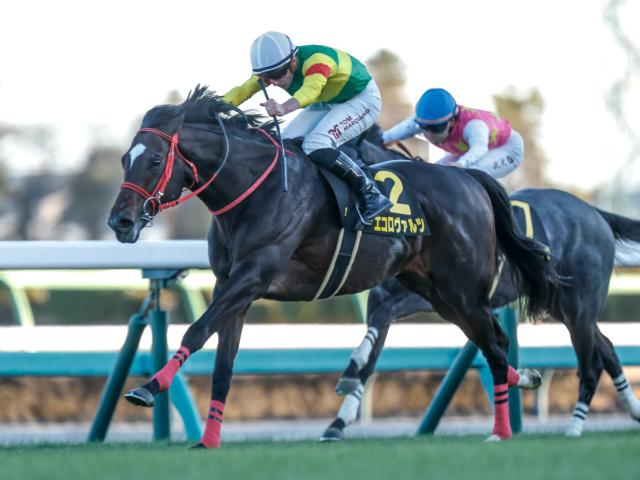 【中京記念予想オッズ】エコロヴァルツが予想1番人気