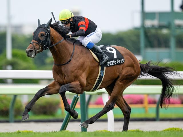 【札幌記念予想オッズ】ホウオウビスケッツが予想1番人気