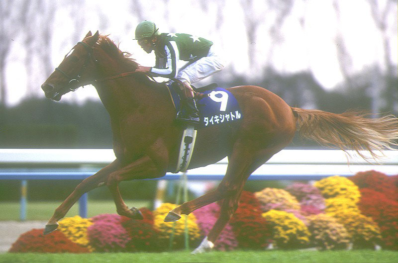 今年は日本馬2頭出走のジャックルマロワ賞 27年前の一戦で魅せたタイキシャトル