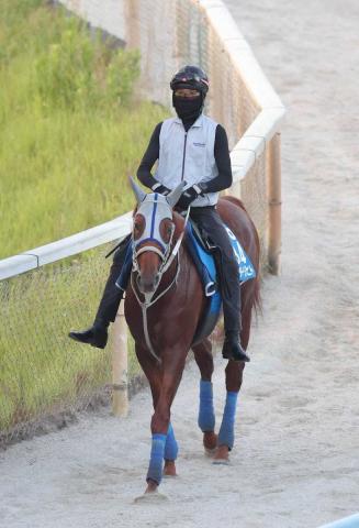 【中京記念】ウォーターリヒト　末脚勝負に期待　石橋師「精神面は安定している」
