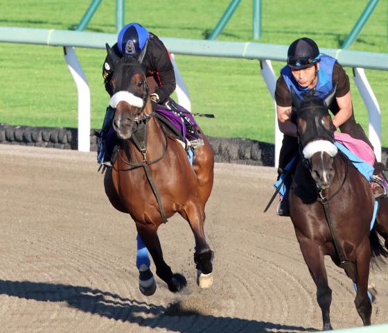 【札幌記念】池添謙一騎手が復活を狙う桜花賞馬ステレンボッシュと初コンタクト　「走りや動きはよかった」