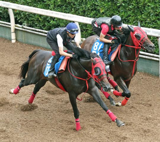 【中京記念】エコロヴァルツは坂井瑠星騎手を背に抜群の動き　牧浦調教師「態勢は整ったかなと思う」