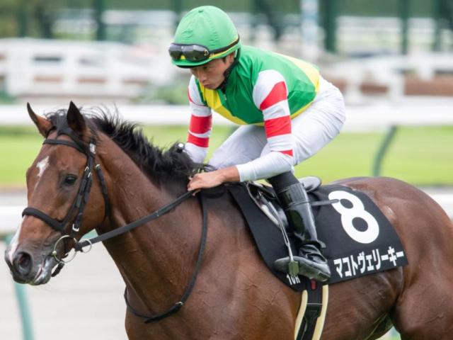 【高山S】ディープインパクト系が複勝率50％ 狙いは外枠がベター