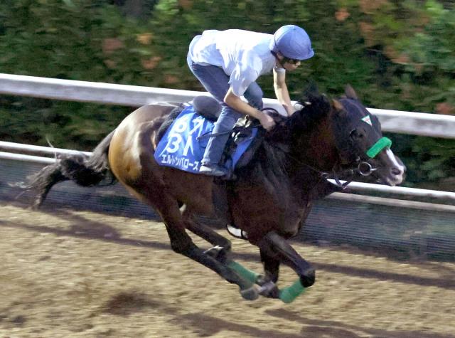【中京記念】9か月ぶりに復帰するエルトンバローズはスピード感抜群　杉山晴調教師「長期休養明けを感じさせない動き」