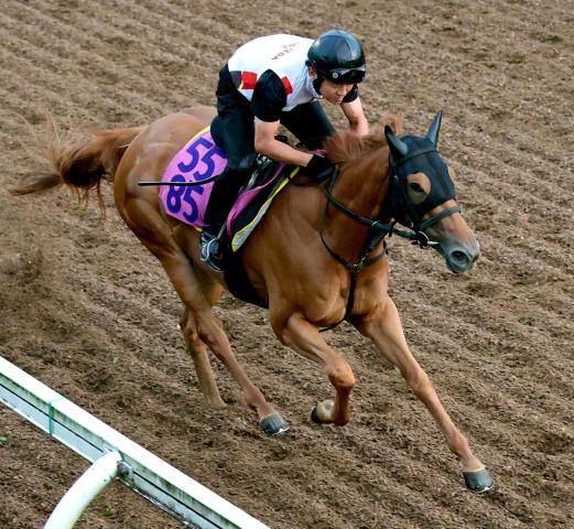 【中京記念】桜花賞4着マピュースが重賞初Vへ順調　陣営「春よりリラックスして走れている」