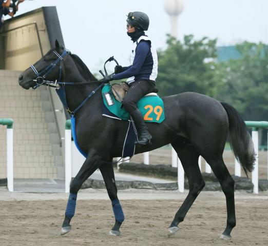 【新潟2歳S1週前】リアライズシリウスが自己ベスト更新　津村明秀騎手「反応良くなっていた」