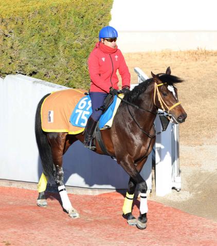 【ジャックルマロワ賞】ゴートゥファーストが現地で追い切り　陣営「とても良い動き」