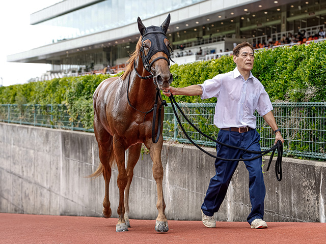 【中京記念】横山武史騎手が中京で重賞初制覇なるか マピュースと初コンビで参戦だ