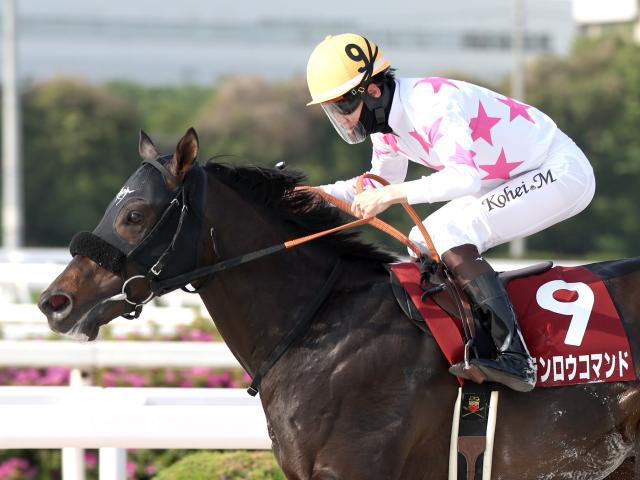 【門別・北海道SC注目馬】昨年から世代限定戦に変更 未来の短距離王者を目指す3歳馬による戦い 