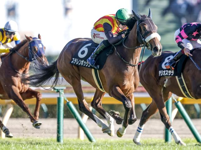 【週末情報】久々でも攻め評価は『A』ステレンボッシュ 桜花賞馬が北の大地で復活するか/馬三郎のつぶやき