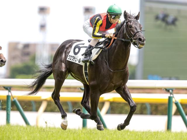 【有力馬動向】先週帰厩のクロワデュノールが駐立練習 ひと回り成長した姿をアピール/馬三郎のつぶやき