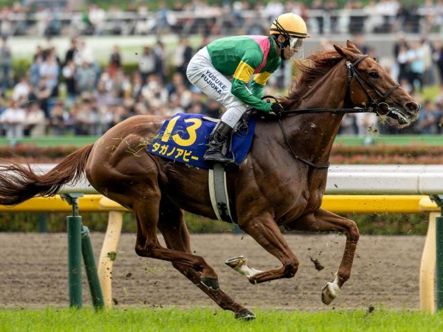 【長久手特別】オークス3着のタガノアビー 必勝を期す始動戦だ