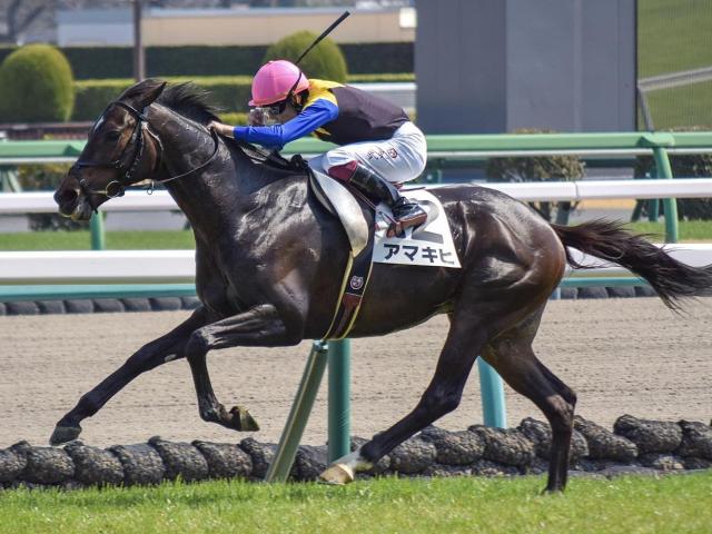 【阿賀野川特別】母は三冠牝馬のアパパネ アマキヒが負けられない始動戦だ