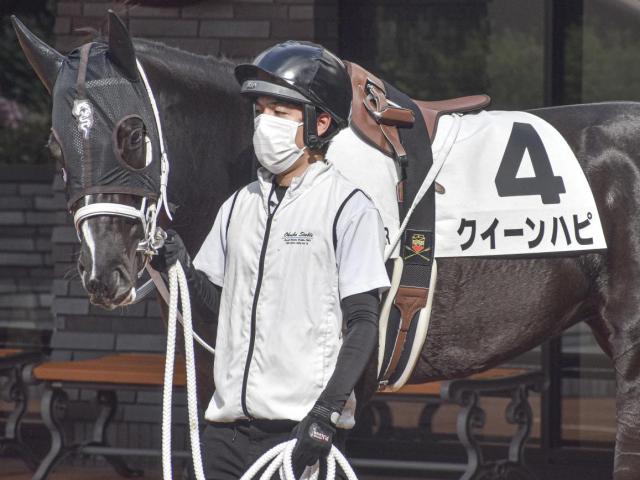 半兄は重賞2勝のアウトレンジ クイーンハピが待望の初勝利なるか