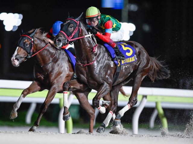 【大井・黒潮盃結果】マウンテンローレルが5連勝で重賞初制覇