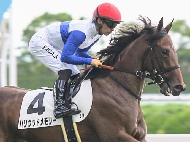 【小樽特別】全兄はGI・2勝のダノンスマッシュ ハリウッドメモリーが待望の2勝目なるか