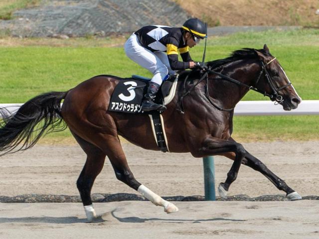 【NST賞】母は米G1で2勝 アスクドゥラメンテが悲願のOP勝ちなるか