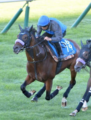 【札幌記念】ヴェローチェエラ　しまいにサッと　佐々木「無事に走れたのが一番」