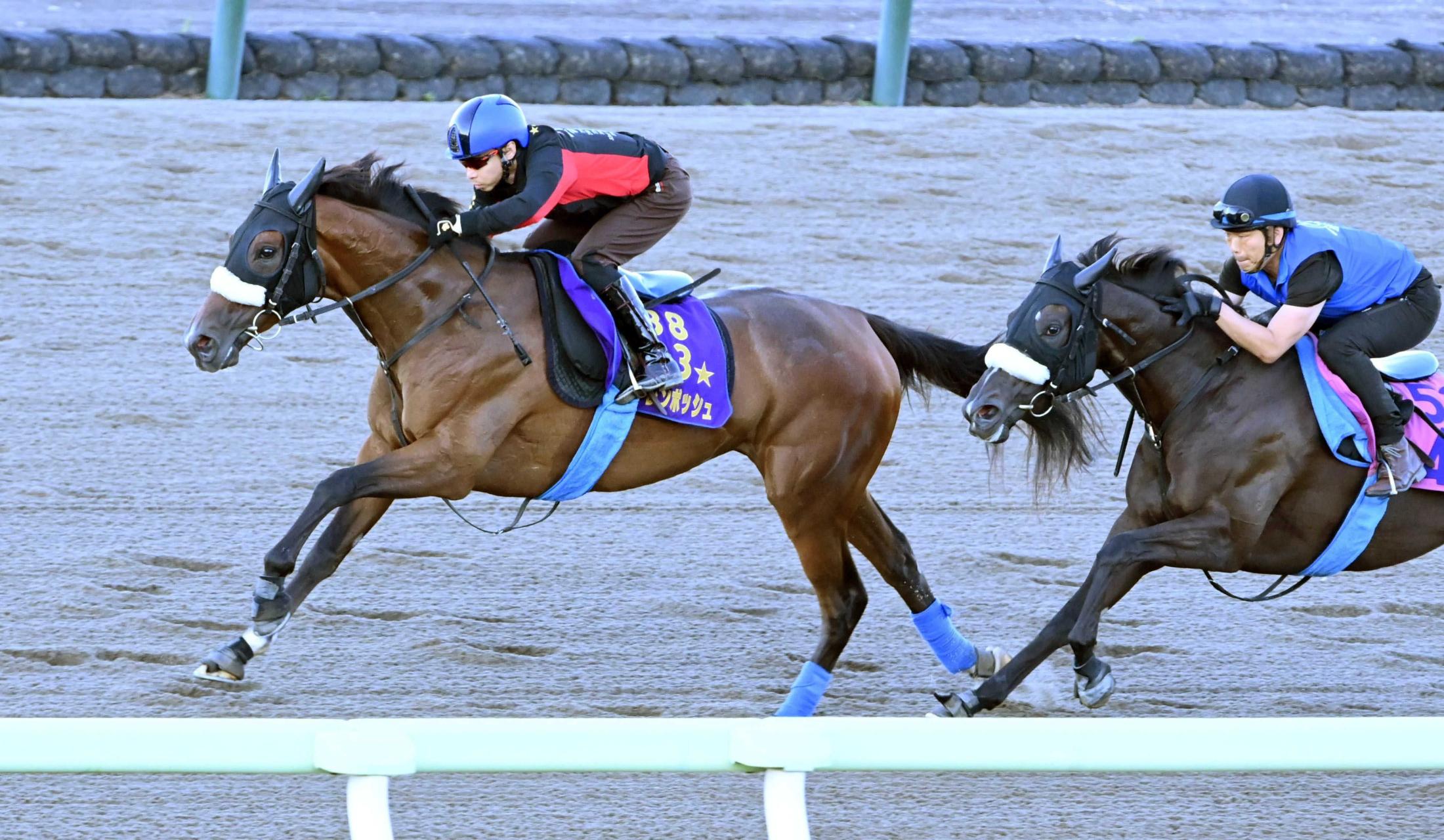 【札幌記念】ステレンボッシュ　馬なりで楽々１馬身先着で復活見えた　新コンビ・池添も手応え「結果出す」