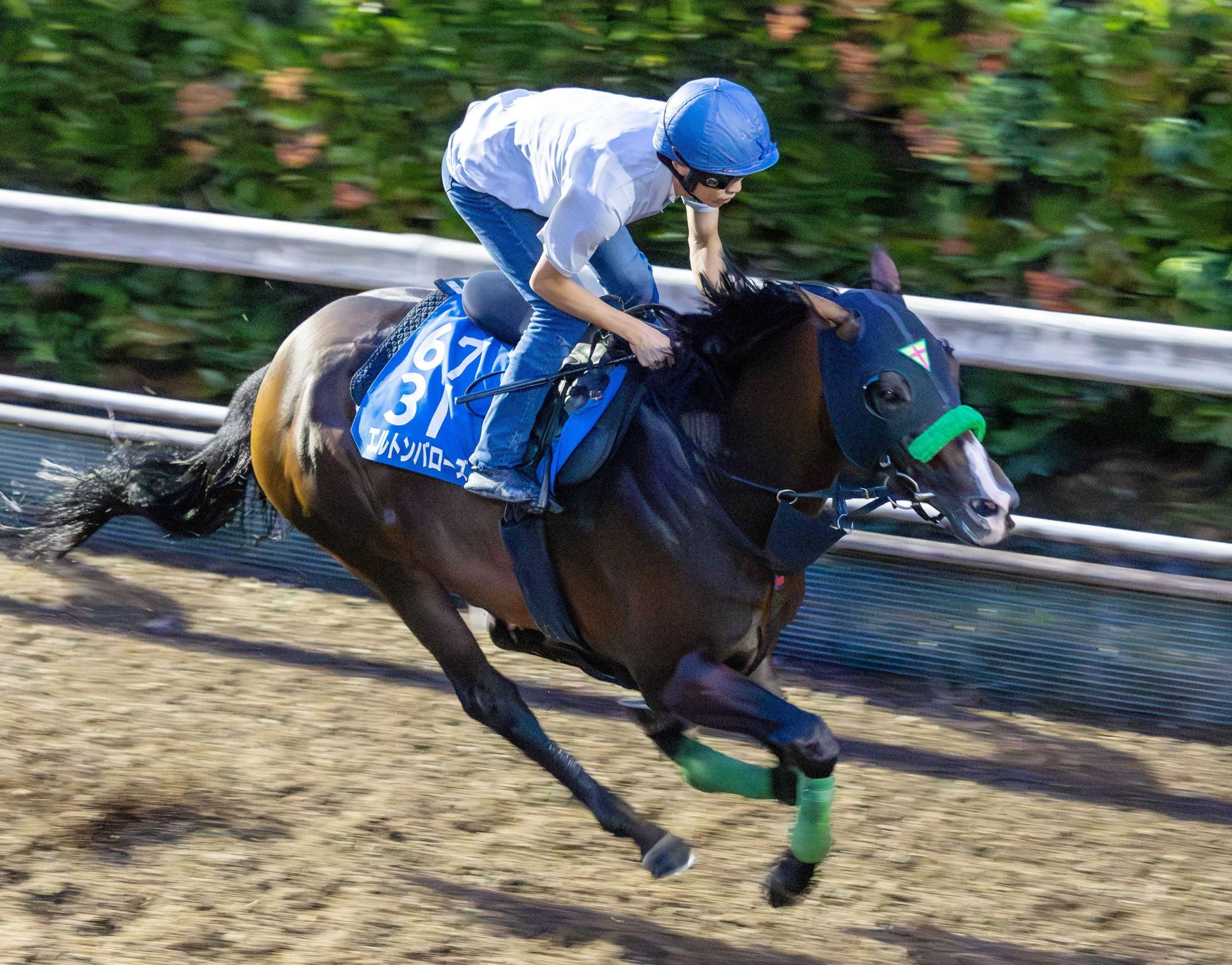 【中京記念】エルトンバローズ万全　骨折明けとは思えぬ動き！ラスト伸びた　今秋の復帰予定を前倒しで出走