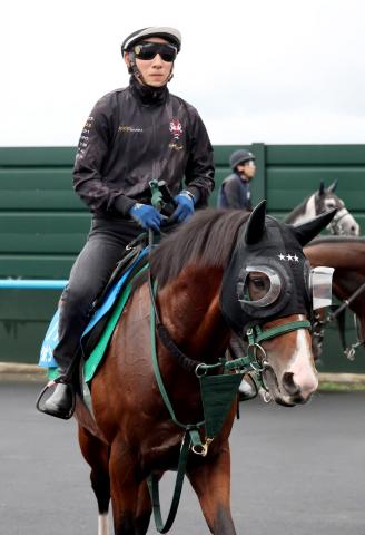 【札幌記念】アルナシームが藤岡佑介騎手を背に力みのない走り「集中力が増して良くなっています」