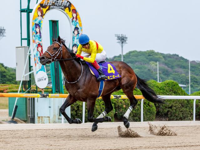 【佐賀競馬】佐賀にかつて存在した怪物――日本記録(当時)の19連勝、JRA馬相手に大金星など