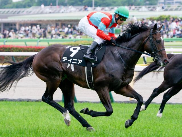 ヴィクトリアマイル、コイウタが制し3連単228万の大波乱 | 競馬
