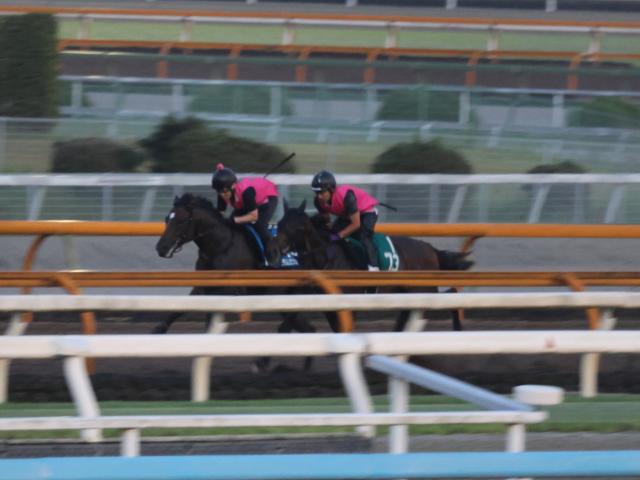 ラムジェット、コリアCに向けて追い切り開始/栗東トレセンニュース