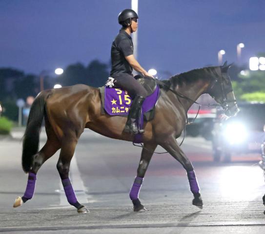 オークス馬カムニャックが帰厩後初時計　友道調教師「いい感じで帰ってきた」　秋はローズSで始動