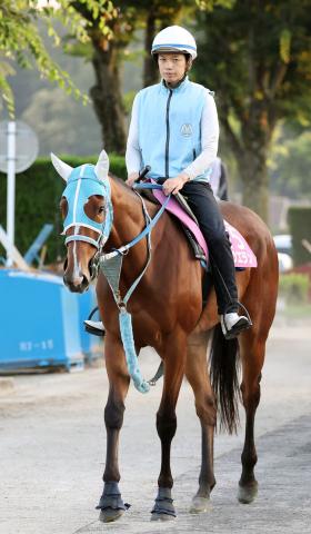 【注目馬動向】ダンツエランはローズSへ　鞍上は2戦ぶりに団野大成騎手