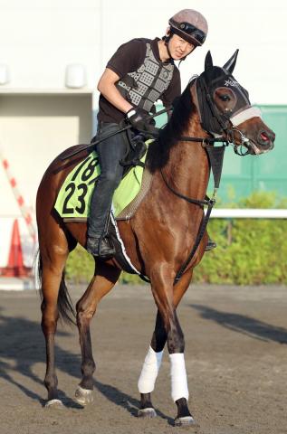 【POG】8月16日札幌でデビュー予定のラスベガスサインは動きの良さが光る　陣営「仕上がり早で新馬向き」