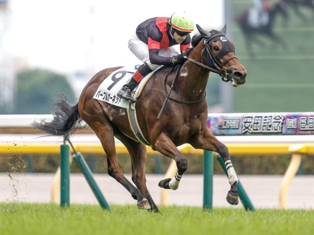 【POG】パープルガーネット中京2歳Sへ始動/馬三郎のつぶやき