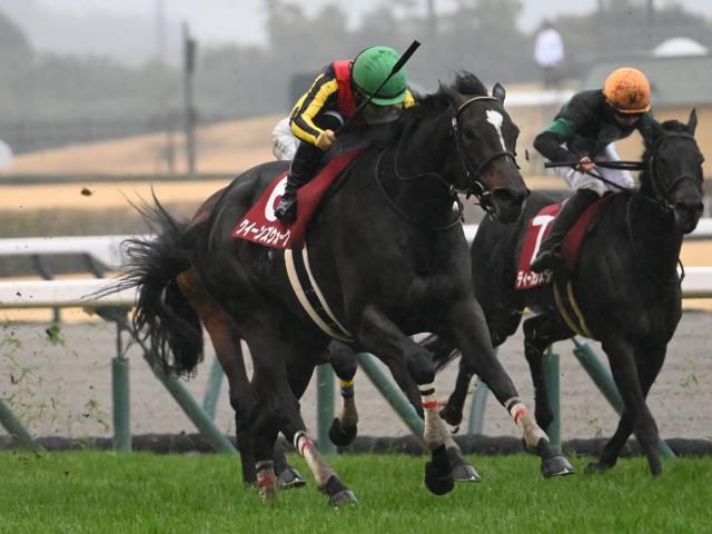 【有力馬動向】クイーンズウォーク新潟記念へ調整順調/馬三郎のつぶやき