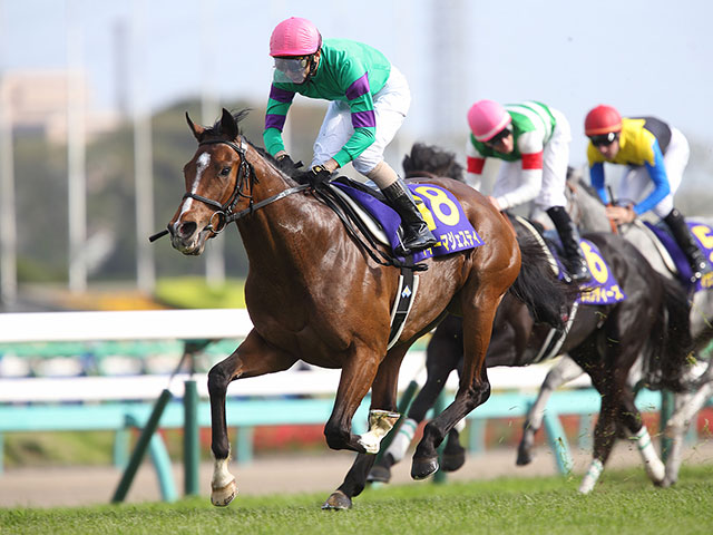 一族に世界的名馬がズラリ 国枝栄厩舎のジャストマイウェイがデビュー勝ちなるか