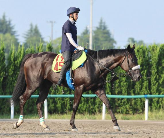 【POG】新潟デビューのジャストマイウェイは調教師も騎手も好評価　荻野極騎手「追って味がある」