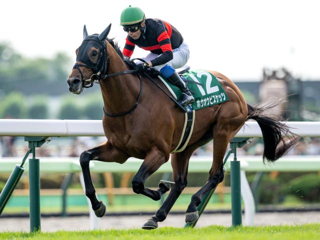 【札幌記念出走馬・騎手確定】ホウオウビスケッツ＆岩田康誠騎手、ステレンボッシュ＆池添謙一騎手など16頭