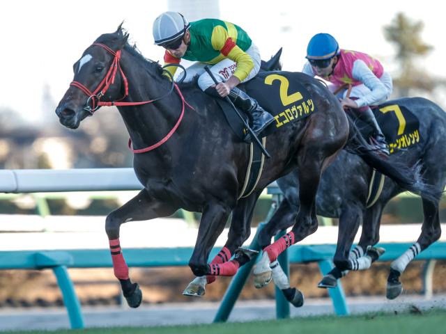 【中京記念出走馬・騎手確定】エコロヴァルツ＆坂井瑠星騎手、ウォーターリヒト＆菅原明良騎手など12頭