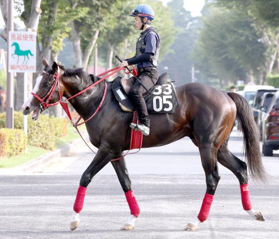 【中京記念】シンフォーエバーは猛時計49秒1も課題を残す　松若風馬騎手「ちょっとコントロールがしづらい」