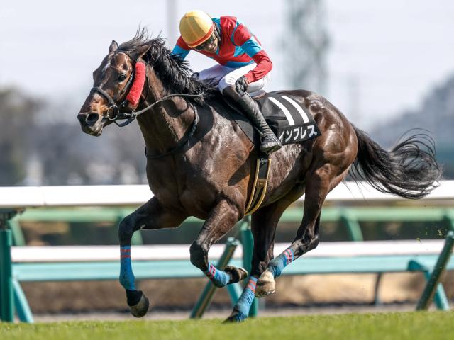 【新潟JS出走馬・騎手確定】インプレス＆小牧加矢太騎手、ヒートオンビート＆石神深一騎手など14頭