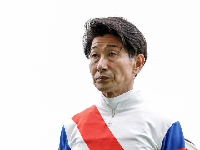 【よもやま話】柴田善が秋競馬での復帰へ/馬三郎のつぶやき