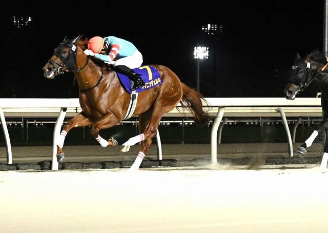 【門別競馬　北海道スプリントC】ヤマニンチェルキ　重賞初V　石川倭「自信を持って追い出せました」