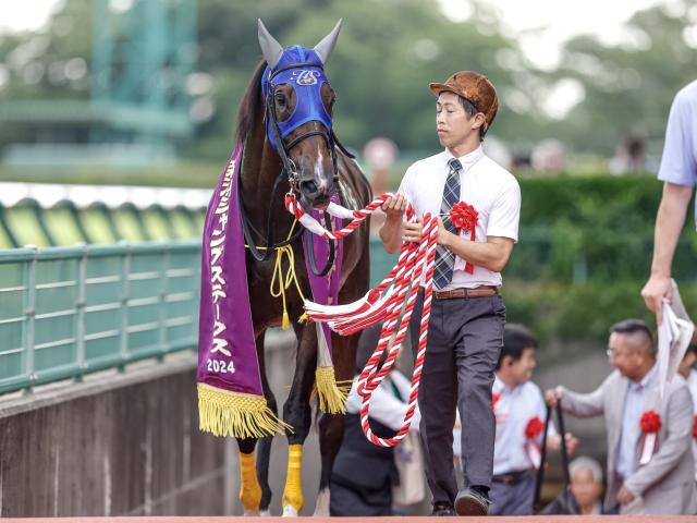 【新潟JS枠順確定】ホッコーメヴィウスは6枠10番、サイードは6枠9番