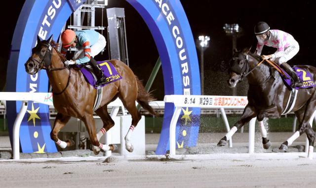 【北海道スプリントC】ヤマニンチェルキが重賞初制覇　地元の石川倭騎手が手綱「いつでも抜け出せる感じ」で完勝
